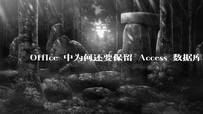 Office 中为何还要保留 Access 数据库?