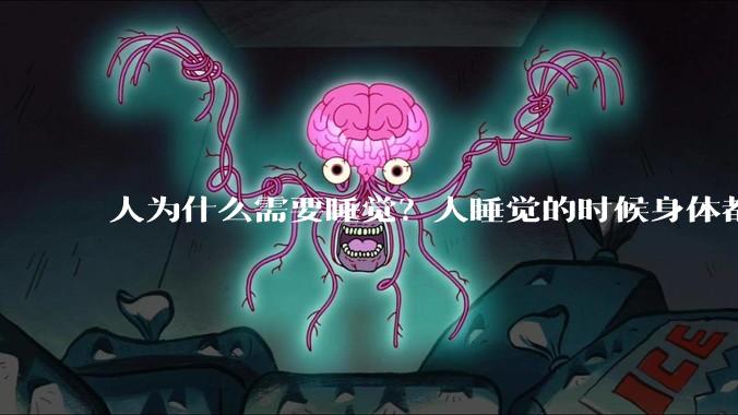 人为什么需要睡觉？人睡觉的时候身体都在做什么？
