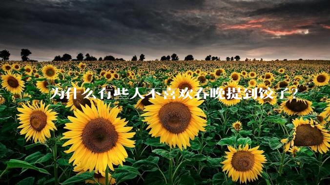 为什么有些人不喜欢春晚提到饺子？