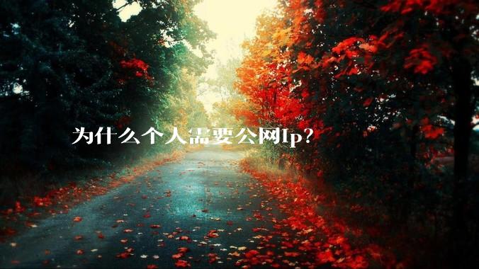 为什么个人需要公网ip？