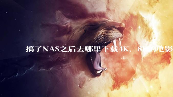 搞了NAS之后去哪里下载4K，8K的电影？