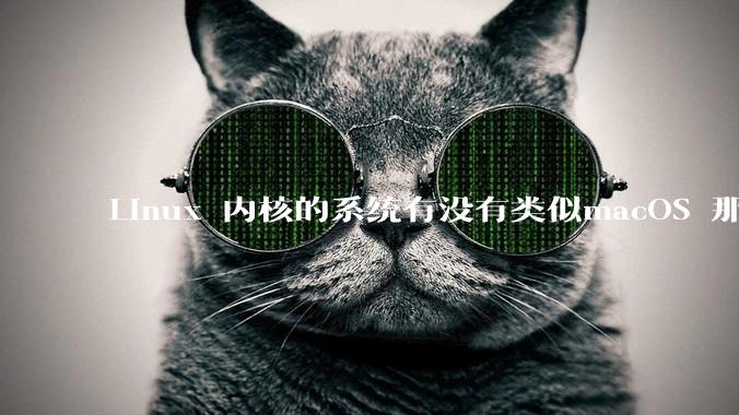 Linux 内核的系统有没有类似macOS 那样漂亮流畅的桌面环境的发行版本?