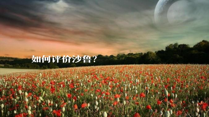 如何评价沙鲁？