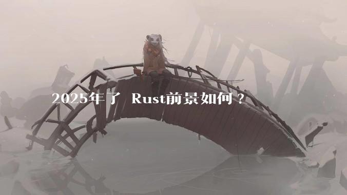2025年了 Rust前景如何?