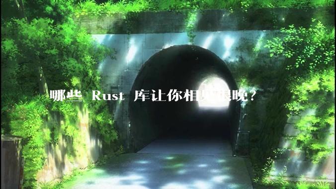 哪些 Rust 库让你相见恨晚？