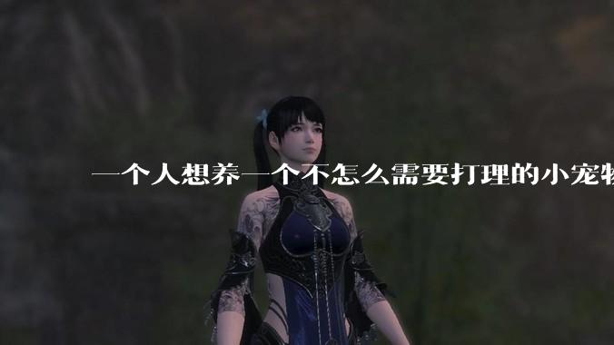 一个人想养一个不怎么需要打理的小宠物，有什么推荐的？