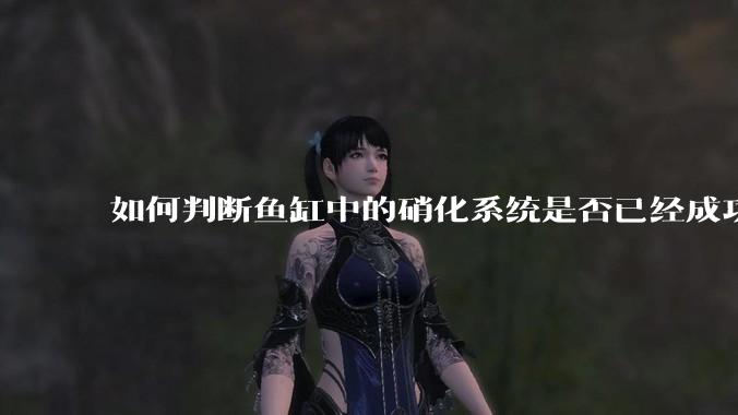 如何判断鱼缸中的硝化系统是否已经成功建立？