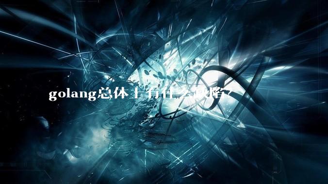 golang总体上有什么缺陷？