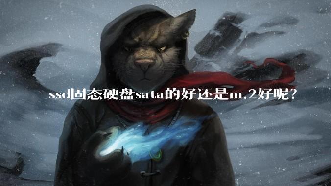 ssd固态硬盘sata的好还是m.2好呢？