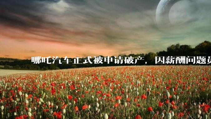 哪吒汽车正式被申请破产，因薪酬问题员工已两月没去上班，被申请破产意味着什么？员工权益还能得到保障吗？