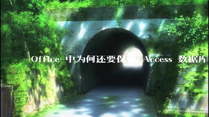 Office 中为何还要保留 Access 数据库?