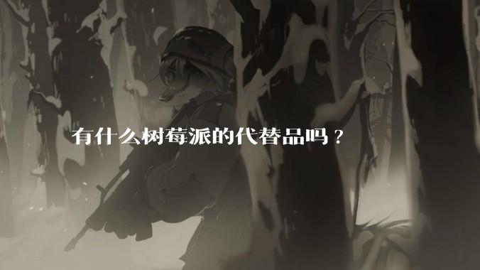 有什么树莓派的代替品吗?