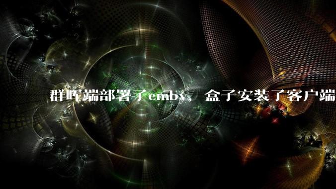 群晖端部署了emby，盒子安装了客户端播放蓝光电影为什么不能显示影片自带字幕？