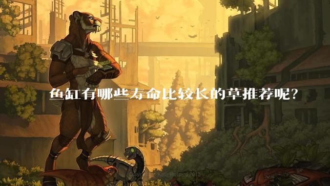 鱼缸有哪些寿命比较长的草推荐呢？