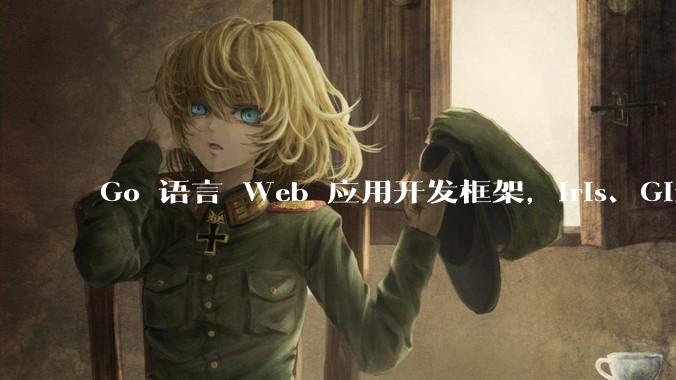 Go 语言 Web 应用开发框架，Iris、Gin、Echo，哪一个更适合大型项目？