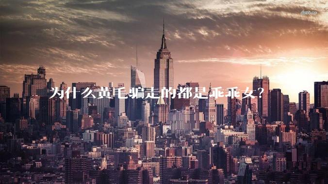 为什么黄毛骗走的都是乖乖女？