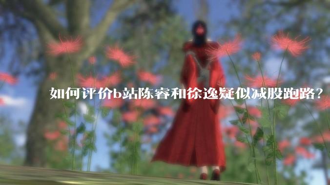 如何评价b站陈睿和徐逸疑似减股跑路？
