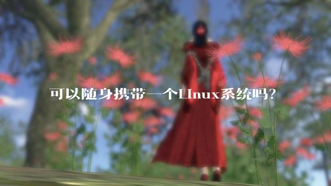 可以随身携带一个Linux系统吗？