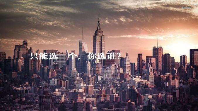 只能选一个，你选谁？