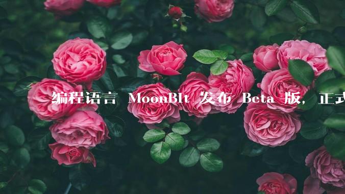 编程语言 MoonBit 发布 Beta 版，正式进入企业场景应用，会带来哪些影响？