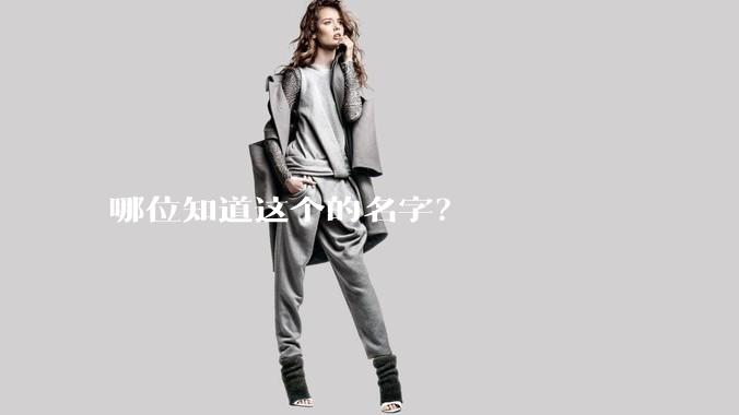 哪位知道这个的名字？
