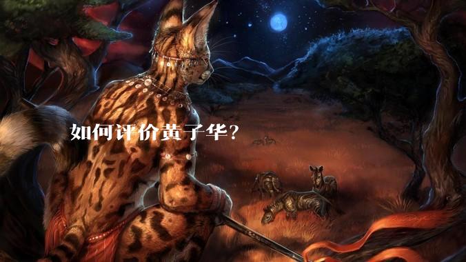 如何评价黄子华？