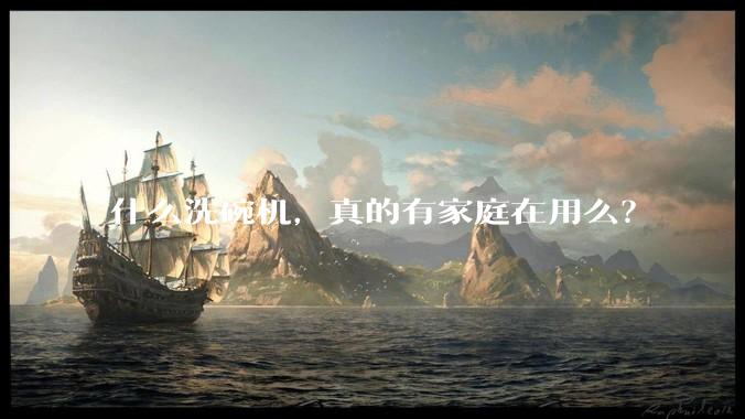 什么洗碗机，真的有家庭在用么？