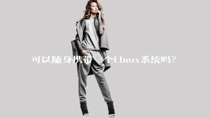 可以随身携带一个Linux系统吗？