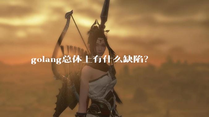 golang总体上有什么缺陷？