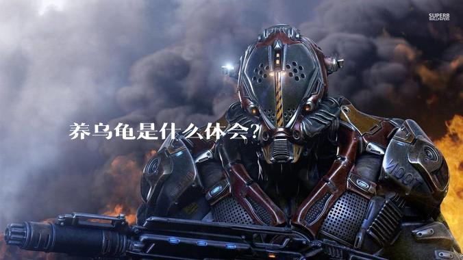 养乌龟是什么体会？