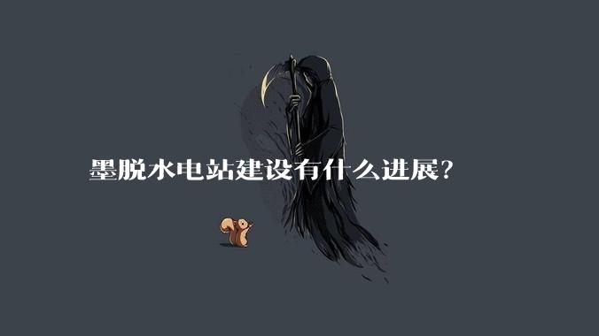 墨脱水电站建设有什么进展？