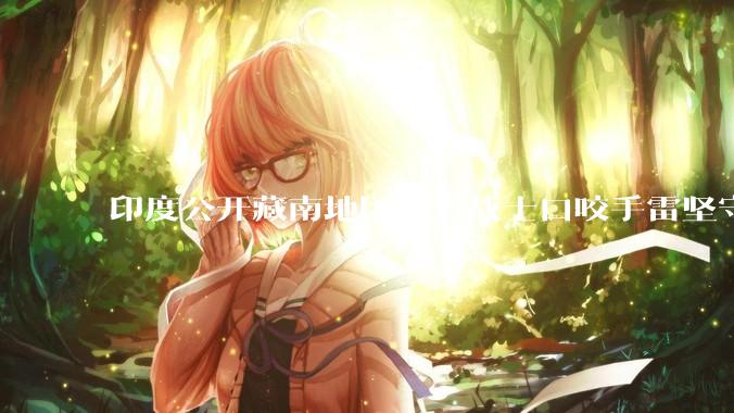 印度公开藏南地区我方战士口咬手雷坚守的***，是想表达什么？