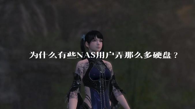 为什么有些NAS用户弄那么多硬盘?