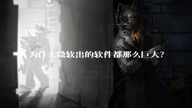 为什么微软出的软件都那么巨大？