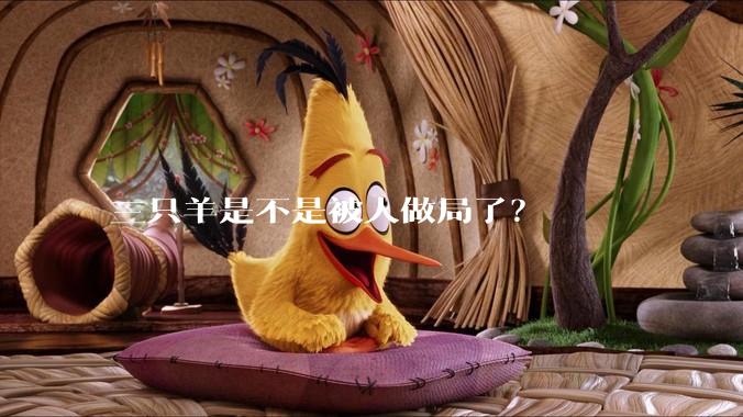 三只羊是不是被人做局了？