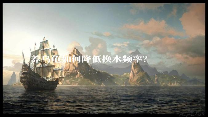 养乌龟如何降低换水频率？