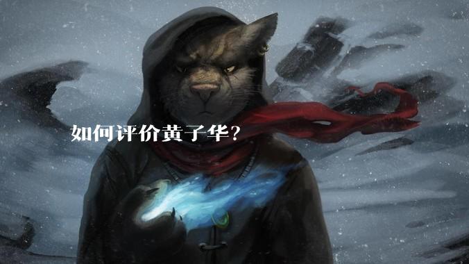 如何评价黄子华？