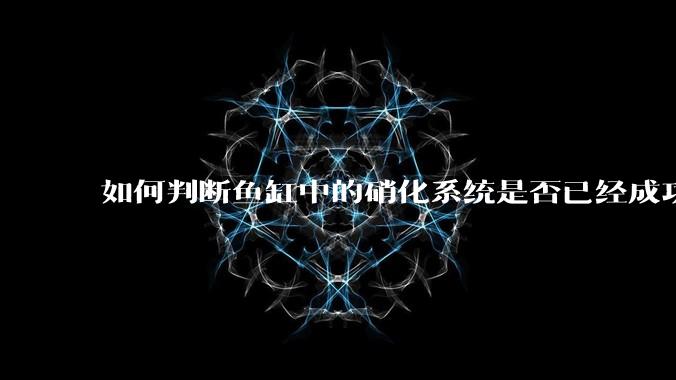 如何判断鱼缸中的硝化系统是否已经成功建立？