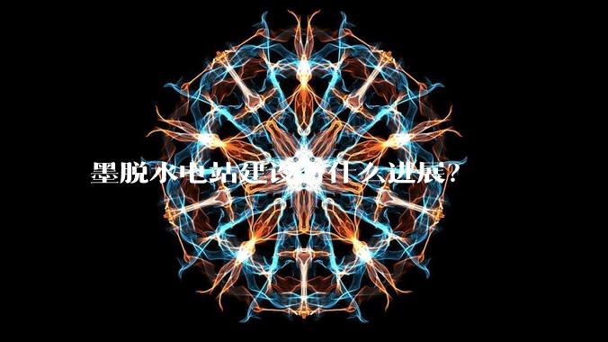 墨脱水电站建设有什么进展？