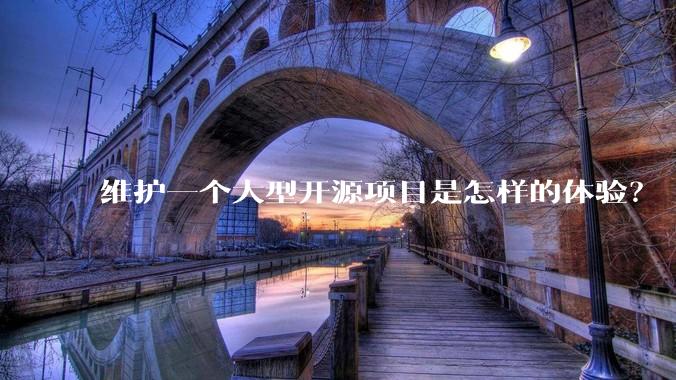 维护一个大型开源项目是怎样的体验？