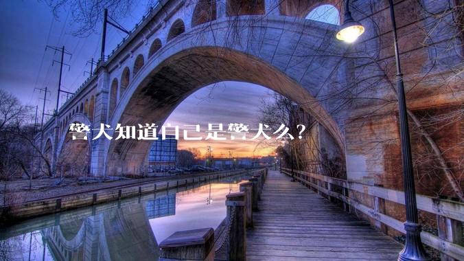 警犬知道自己是警犬么？