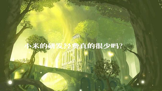 小米的研发经费真的很少吗？