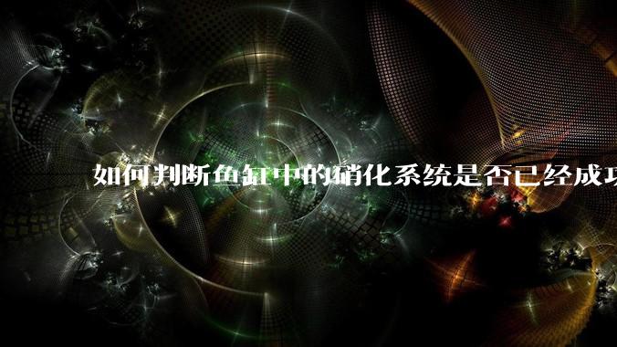 如何判断鱼缸中的硝化系统是否已经成功建立？