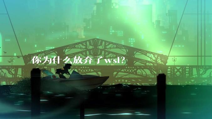 你为什么放弃了wsl？