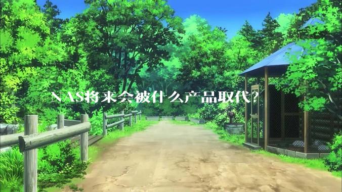 NAS将来会被什么产品取代？
