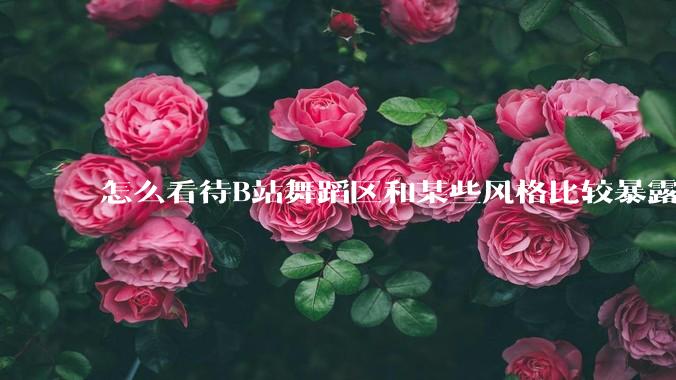 怎么看待B站舞蹈区和某些风格比较暴露的up？