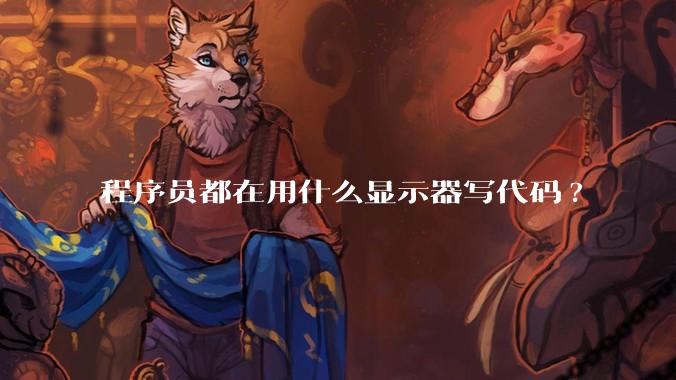 程序员都在用什么显示器写代码?