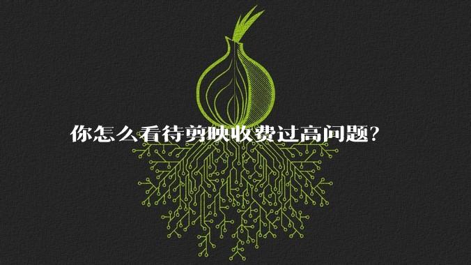 你怎么看待剪映收费过高问题？