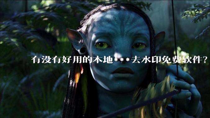有没有好用的本地***去水印免费软件？