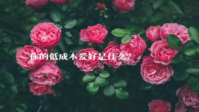你的低成本爱好是什么？